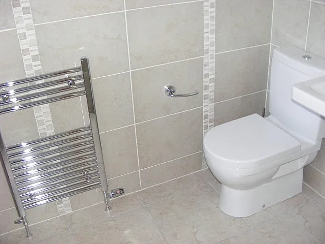 New Toilet in Bathroom